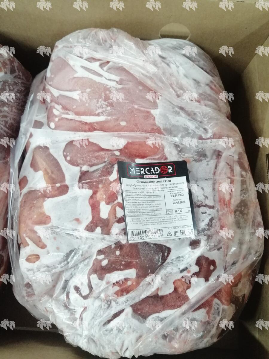 Основание лопатки